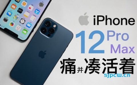 「花生」痛，并凑活着【iphone12 pro max使用报告】