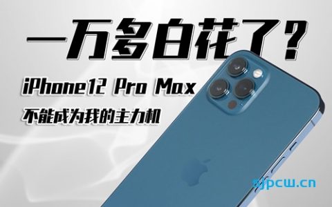 「大米评测」一万多白花了？iphone12 pro max 为什么不能成为我的主力机？