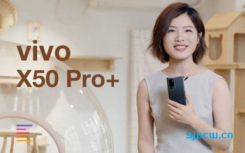 vivo x50 pro  体验：用超大杯拍“猫片” | 凰家评测