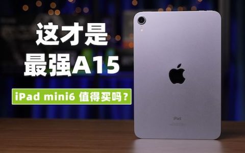 [大米评测]这才是最强a15！ipad mini6 深度评测 | ipad mini6值得买吗？